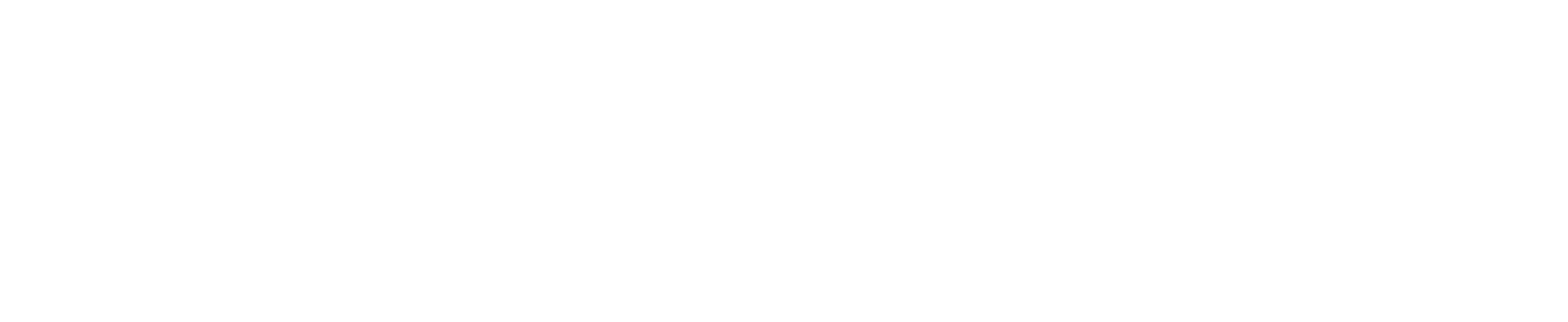 VisioCablePro - a brand of iiM AG VisioCablePro Logo